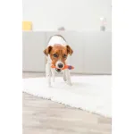 Trixie žaislas ANTIS, lateksas, 14 cm
