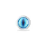 FIBARO NICE FGMS-001 ZW5 EU Motion-Control | Fibaro