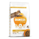 IAMS CAT ADULT HAIRBALL sausas kačių maistas 10 kg