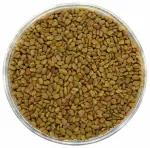 Ožragės sėklos, ekologi&scaron;kos &ndash; 100 g