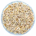 Speltos kviečių grūdai, ekologi&scaron;ki &ndash; 1 kg