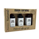 Mount Caramel &ndash; Avietės &middot; Glogg &middot; Obuolių kar&scaron;tas vynas, sirupų rinkinys, 3x100 ml