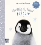 KNYGA Amanda Wood Goodnight, Little Penguin