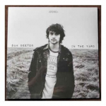 Vinilinė plok&scaron;telė Sam Beeton &ndash; In the yard