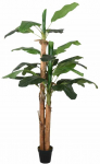 Dirbtinis bananmedis, žalios spalvos, 150cm, 18 lapai