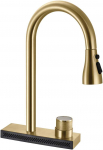 Virtuvinis mai&scaron;ytuvas REA Conor, Brushed Gold