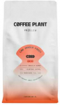 COFFEE PLANT - LOW Jungle Fruit Filter 800g