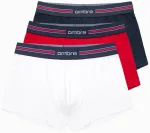 Klasikinio kirpimo kelnaitės su dryžuota elastine juosta - 3 pakuotės derinys OM 0109