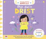 KNYGA Marie Paruit Teimladau Mawr Bach: Pan Dwi'n Drist