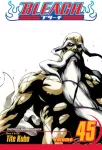 KNYGA Tite Kubo Bleach, Vol. 45