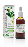 Soria Spanguolių ekstraktas S Xxi 50ml