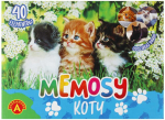 Žaidimas Memosy Cats PLX PUD ALEXANDER 2785 ALX