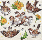 Letistitch Kryželiu siuvinėjimo rinkinys "Žvirbliai" 23x22cm SLETIL8803