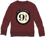 Warner Bros Discovery Harry Potter Platform 9 3/4 child sweatshirt