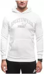 Puma Džemperis Vyrams Ess+ Logo Lab Hoodie Fl Baltas 681775 02