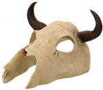 Dekors terārijam / galvaskauss : Repti Planet Buffalo skull 12,5x11,8x8cm