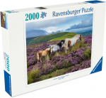 Ravensburger Dėlionė 2000 vnt. - Laukiniai arkliai viržynuose