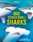 KNYGA Alice James Big Sticker Book of Sharks