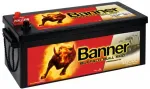 Banner 180Ah 1000A Buffalo Bull PRO akumuliatorius 12V 514x223x195/220