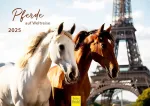 Edition Seidel Premium Kalendorius Horses on World Travel 2025 Formatas Din A3 Sieninis kalendorius Žirgų kalendorius Kelionių kalendorius Žirgų kelionės po pasaulio metropolius