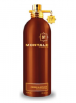 Montale Paris Amber & Spices UNISEX (Kvepalai Vyrams ir Moterims) EDP 100ml (BE PAKUOTĖS)