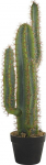 Beliani Dirbtinis motiejukas 78 cm CACTUS