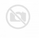 Prosperplast &Scaron;iuk&scaron;liadėžė Compacta R Duo, Žalias/juoda, talpa 40L, Jedna komora, Dwie pokrywki, NDRF40-5575C_S411