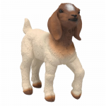 Schleich figūrėlė Būrų veislės ožiukas