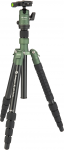 Stovas - Fotopro X Go Gecko Aliuminio Stovas 8kg 144cm Žalias