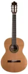 Prodipe Guitars Recital 200 &ndash; klasikinė gitara