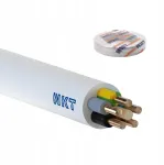 Kabelis Ydy 5x4 450/750v, 1 metras, apvalus
