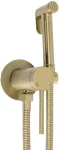 Bidė du&scaron;elio komplektas REA Foss Clif, Brushed Gold