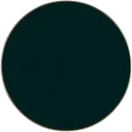 Sieninio &scaron;viestuvo CHAMALEON diskas, juodas, 14,5cm, K0003040N