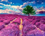 SuperColor Tapyba Pagal Skaičius: &bdquo;Levandų svajonė&ldquo; 40x50 cm