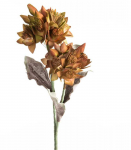 Eurofirany KW/FLORE/770/ZIE ZIEL+BR