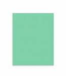 Lintex Nuotaikos siena i&scaron; stiklo pluo&scaron;to 1000x1250 mm