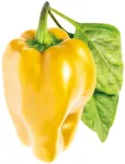 Click And Grow Click & Grow Smart Garden pildymas Geltona Sweet Pepper 3vnt
