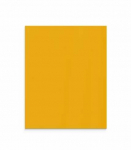 Lintex Nuotaikos siena i&scaron; stiklo pluo&scaron;to 1000x1250 mm