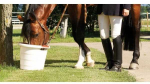 Garantia Multi-purpose round container TONI, baltas 45L