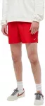 Nike Maudymosi &Scaron;ortai Vyrams 5""Volley Short Raudona NESSA560 614