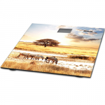 Virtuvinės svarstyklės Muhler MSC-3077 Bathroom Scale