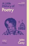 KNYGA John Carey Little History of Poetry
