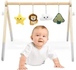 Viga Toys Arka kūdikiams VIGA PolarB, medinė