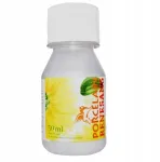 Penosil Renesans dažai keramikai 50 ml sidabro spalvos Nr. 181