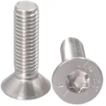 Nerūdijančio plieno varžtas M6x20 su Torx galvute ir saugos skylute (10 vnt.)