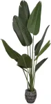 Dirbtinis augalas Strelicija, 160 cm