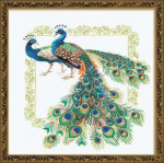 Uab Riolis Peacocks 767