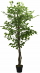 Dirbtinis fikusas, žalios spalvos, 180 cm, 1008 lapai