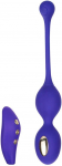 California Exotics Calexotics Estim Dual Kegel Exerciser