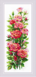 Uab Riolis Liepos rožės 20x50 SR2057